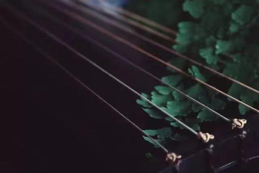 菊斋文人琴 • 甲辰年定制预约 商品图0