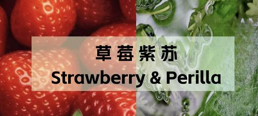 GELATO350g 商品图1