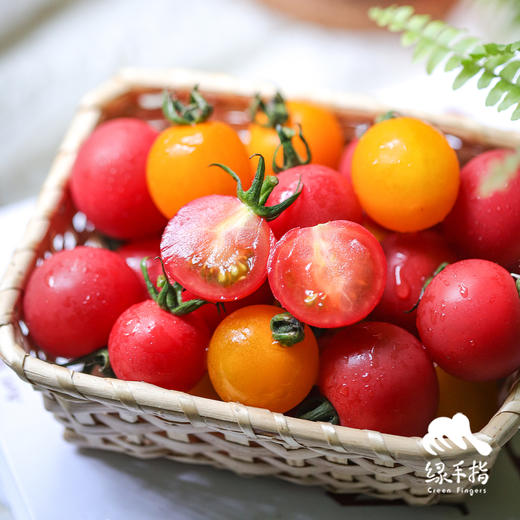 生态圣女果（浙江） | 合作生产 *Eco- tomato | Coprodution 商品图1