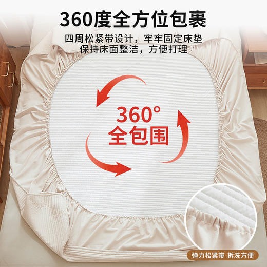 觉先生a类大豆夹棉床笠单件床罩席梦思床垫保护套防尘罩床单防滑3 商品图4