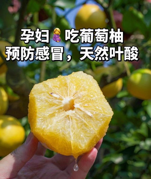 鲜果生榨果汁，0添加0色素0脂肪，健康营养好喝，冷藏保存，保质期45天！6瓶/箱 商品图9