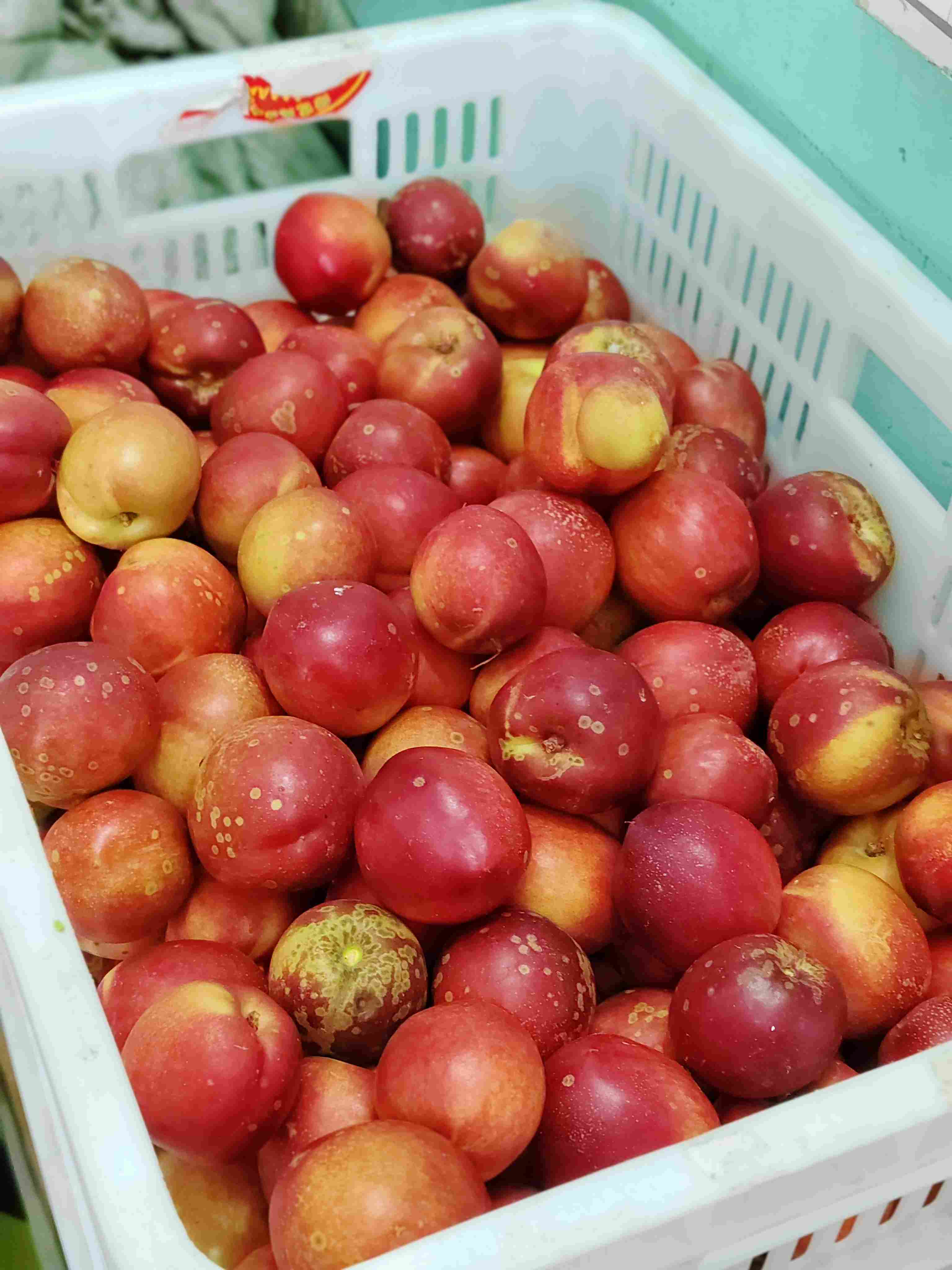 9.9元3斤本地现摘黄油桃一份