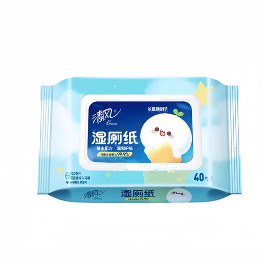 清风湿厕纸40片装 商品图0