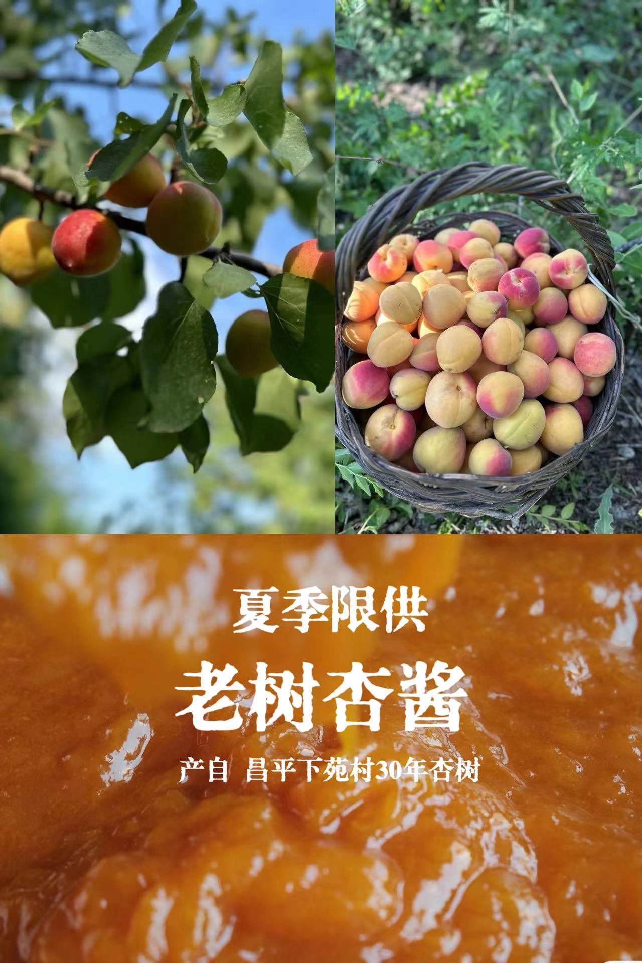 夏季限供：老树杏酱