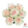 外购单头玫瑰-拾季 10枝一扎 商品缩略图1