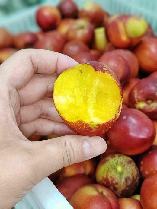 9.9元3斤本地现摘黄油桃一份 商品图1