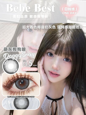 【大直径日抛】Doggy Gray·萌灰狗狗眼·Missbebe丨14.5mm（日抛/一盒10片装）