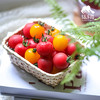 生态圣女果（浙江） | 合作生产 *Eco- tomato | Coprodution 商品缩略图4