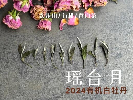 【白茶礼盒装】2024有机白牡丹，牡丹王一般的秀长芽头，鹊桥仙的升级版，蕴着清雅花香的盛夏清辉，茶汤更清透 商品图6