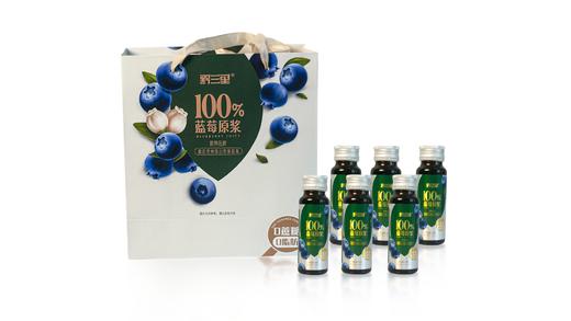 册亨县 册亨优选 蓝莓原汁 商品图0