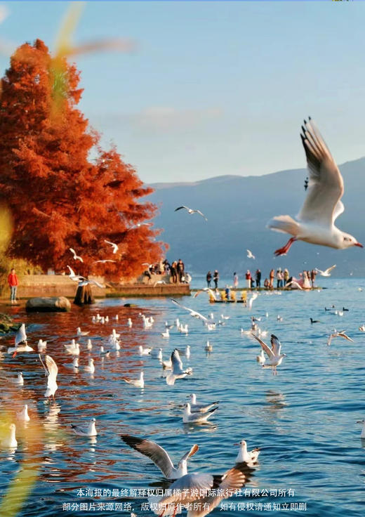 【乘风破浪·毕业季】昆大丽双飞6日游 商品图2