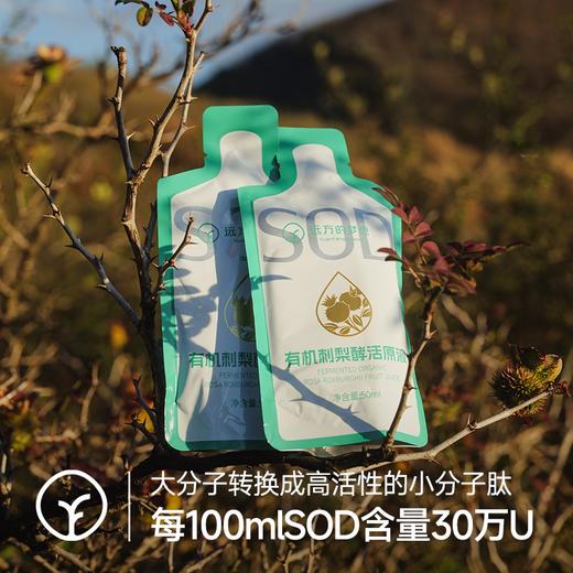 【SGS308项农残未检出定制款 有机刺梨酵活原液50ml*10袋/盒】每100mISOD含量30万U 高活性物质 大分子转换成小分子肽有益吸收 商品图2