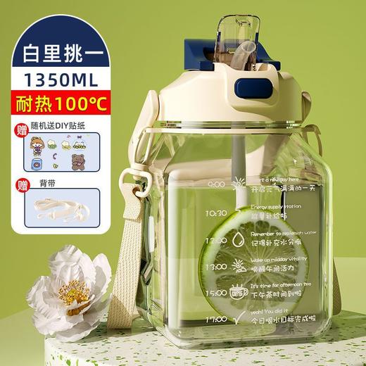 【新款大肚杯女款】吸管水杯 女生高颜值大容量杯子 耐高温儿童水壶  商品图5