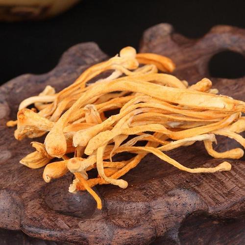 册亨县 册亨优选灵芝虫草花 商品图0