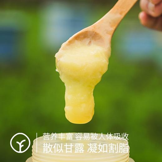 【远方检测SGS298项农残等未检出 0添加匠心之选】密林深处鲜王浆 即采即冻 源头保鲜 有特殊香味 味酸涩辛辣 250g/瓶 商品图1