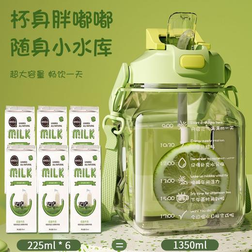 【新款大肚杯女款】吸管水杯 女生高颜值大容量杯子 耐高温儿童水壶  商品图3