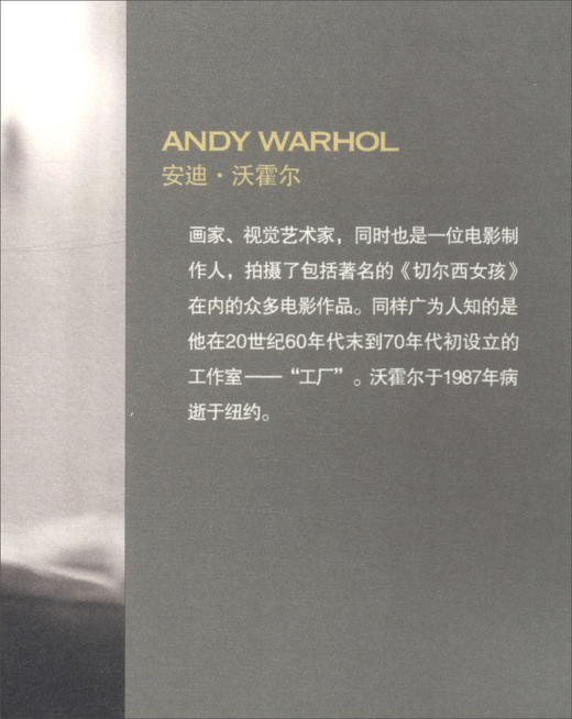 【绝版图书】波普启示录：安迪·沃霍尔的哲学  上河文化 商品图3
