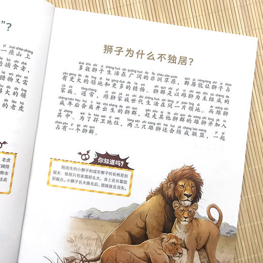 十万个为什么 商品图5