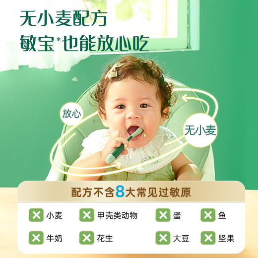 【新品上市】英氏婴幼儿粒粒面无小麦无麸质加铁宝宝短面 商品图1