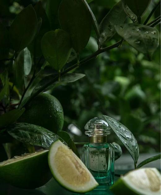 稀有香水 商品图5