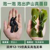 有机海带结130g一罐  福建霞浦海带干 商品缩略图1