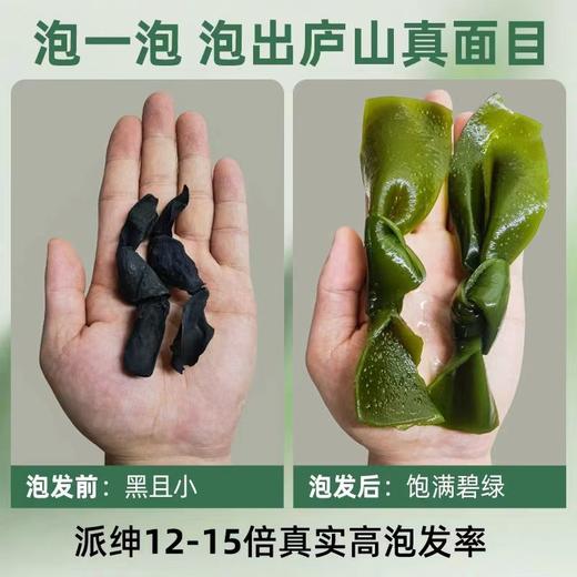 有机海带结130g一罐  福建霞浦海带干 商品图1