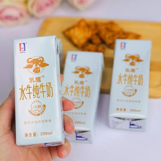 乳鹰 水牛纯奶200ml*20盒 商品图5