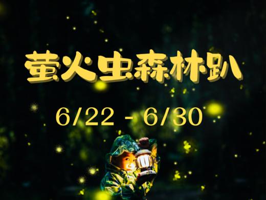 孩子志 | 萤火虫森林趴 【考试后 6/22-30】萤火虫放飞、丛林穿越、泡泡趴，陪孩子来张家港森林营地看萤火虫(10:00-21:00) 商品图0