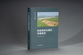 阜新高林台城址发掘报告