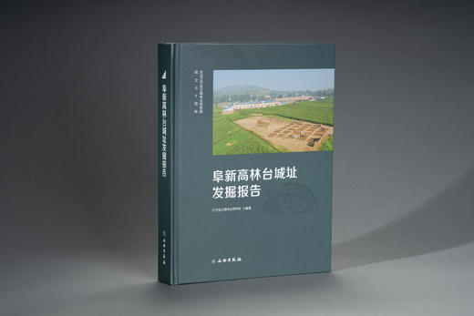 阜新高林台城址发掘报告 商品图0