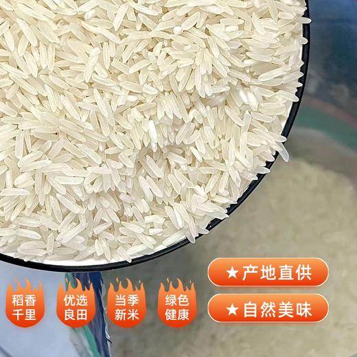 【严选】恩施长粒香富硒米5kg/袋  （厂家直发） 商品图1