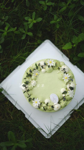 10寸开心果樱桃