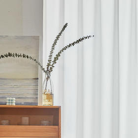 【格纹纱】金蝉新款窗帘窗纱透光不透人阳台卧室客厅防晒镜面纱