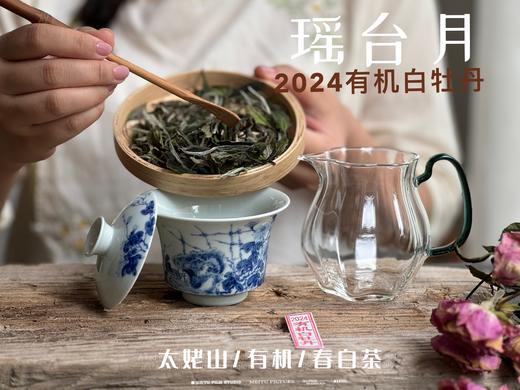 【2024春茶来了】2024有机白牡丹，牡丹王一般的秀长芽头，鹊桥仙的升级版，蕴着清雅花香的盛夏清辉，茶汤更清透 商品图3