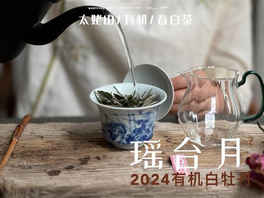 【2024春茶来了】2024有机白牡丹，牡丹王一般的秀长芽头，鹊桥仙的升级版，蕴着清雅花香的盛夏清辉，茶汤更清透 商品图7