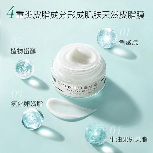 【327元会员福利】养生堂天然桦树汁补水保湿霜50g送桦树汁补水保湿面膜24ml*2片 商品图3