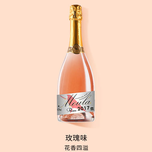 【微醺小酒感！鲜果酵酿起泡酒】哪有『小仙女』 聚会不喜欢低度甜酒，原汁酿造，拒绝勾兑，白葡萄果酒起泡酒L 商品图10