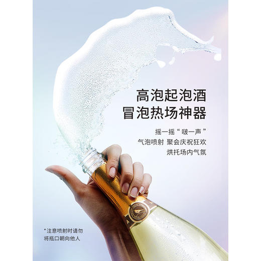 【微醺小酒感！鲜果酵酿起泡酒】哪有『小仙女』 聚会不喜欢低度甜酒，原汁酿造，拒绝勾兑，白葡萄果酒起泡酒L 商品图2