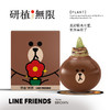 研植无限&LINEFRIENDS联名款布朗熊斑点皇后腊封朱顶红蜡球礼盒 商品缩略图0