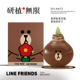 研植无限&LINEFRIENDS联名款布朗熊斑点皇后腊封朱顶红蜡球礼盒