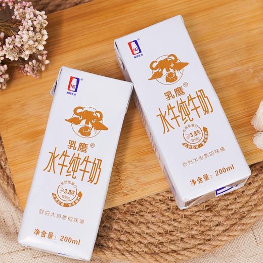 乳鹰 水牛纯奶200ml*20盒 商品图7