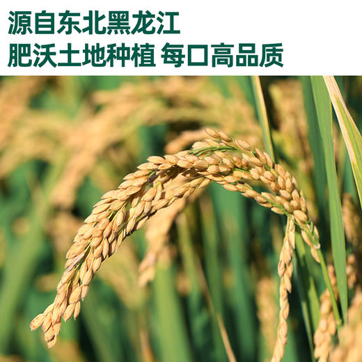 英氏婴幼儿钙奶谷物棒【57元任选3件+4件礼品】 商品图4