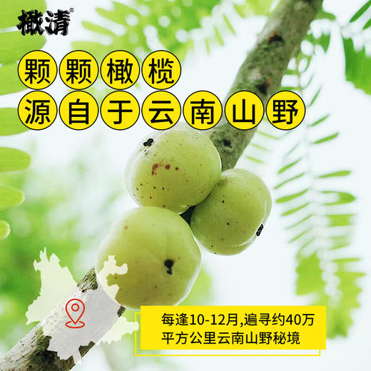 【秒杀】HOHO橄清茉莉花滇橄榄汁280ml*6瓶（经典款） 商品图2