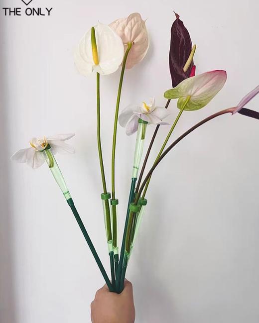 洋兰管--带杆加长营养管 商品图2