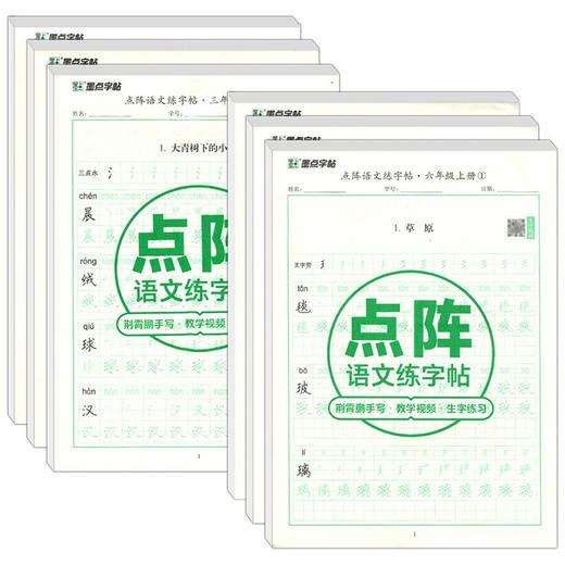 2025~2026｜墨点字帖｜点阵语文练字帖｜人教｜上册、下册 商品图0