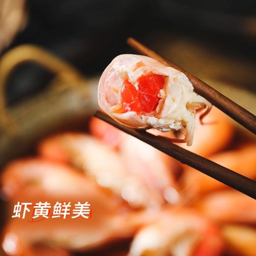 【五星私房菜 熟醉罗氏虾】鲜活淡水虾王，陈年花雕入味，虾肉质感Q弹味道鲜甜，吃一口停不下来！ 商品图4