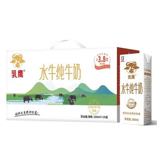 乳鹰 水牛纯奶200ml*20盒 商品图0