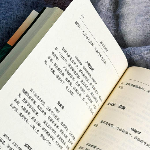 清百家词录 周大烈编选 清词选集 古典文学 商品图13