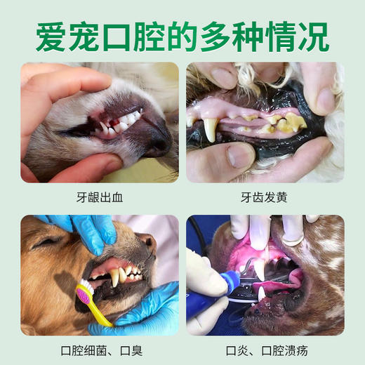 德国 cdVet 施德维特 牙齿护理喷雾 20ml（礼盒含喷头） 商品图1