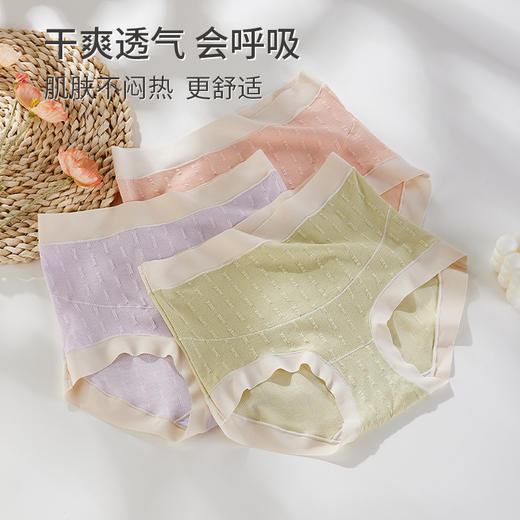 雅黛俪内裤女高腰U型托腹舒适孕妇内裤纯棉健康底裆防夹臀防卡裆 商品图3